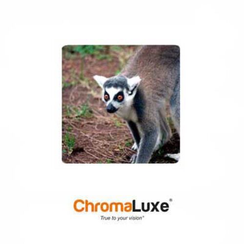 ChromaLuxe Sublimation Blank Aluminum Photo Panel - 10" x 10" - Gloss White Thumbnail